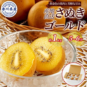 쌧Y LEC ʂS[h 1kgi5`6ʁj2L`4LTCY Y LECo[h璼 2{܂ł̔̔h{@\Hi o^ Y LECt[c LEĈ܂  Eői