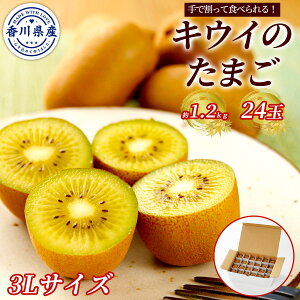 쌧Y LEĈ܂ ʂLEC 1.2kgi24ʁj3LTCY Y _ƒ 3{܂ł̔̔ŊĐHׂ LEC Ǐnς x16`20x TCY  i t[c 