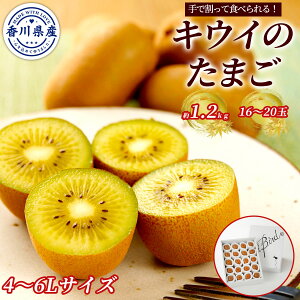 쌧Y LEĈ܂ ʂLEC 1.2kgi16`20ʁjMtgZbg 4L`6LTCY Y _ƒ 3{܂ł̔̔ŊĐHׂ Ǐnς x16`20x TCY  i t