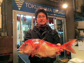 巣ごもり時のお楽しみ！ 「鳴門鯛（鮮魚）」丸々1匹（約1.2Kg）【送料込】