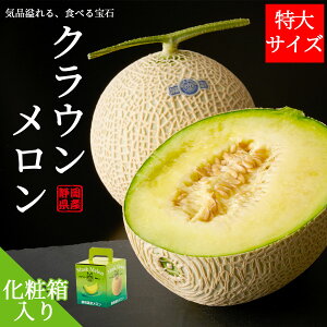 ÉNE TCYi1.5`2kgj1 2 ϔ}XN Mtg v[g 蕨   t[c ʕ ̓ ̓  Ε j j yY 