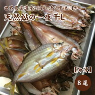 清流長良川　天然鮎の一夜干し8尾　冷凍天然 鮎 アユ あゆ 一夜干し 岐阜 長良川 清流 鵜飼 皇室献上 世…