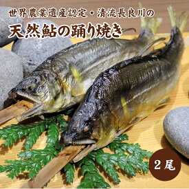 清流長良川　天然鮎の踊り焼き（塩焼き）2尾　冷凍天然 鮎 アユ あゆ 塩焼 岐阜 長良川 清流 鵜飼 皇室献上 世界農業遺産 高級 お取り寄せ 誕生日 お中元 お歳暮 内祝い 進物 お土産 バーベキュー