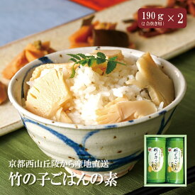 竹の子ごはんの素 2合炊き用 2本セット 化粧箱入り 京都西山丘陵から産地直送たけのこ 竹の子 筍 タケノコ 京たけの子 料理 煮物 和食 加工食品 ごはん 炊き込みご飯 長期保存 京都 長岡京 西山丘陵 小川食品工業 お取り寄せ 国産 ギフト プレゼント お中元 お歳暮