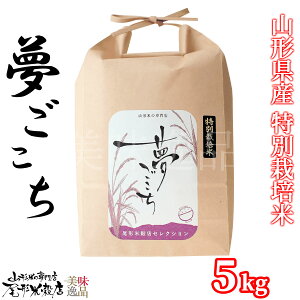 ߘa7NY R`Y   5kg ʍ͔|Ċ󏭕i ߂ Sn        Y  v[g 蕨 Mtg  Ε j l 