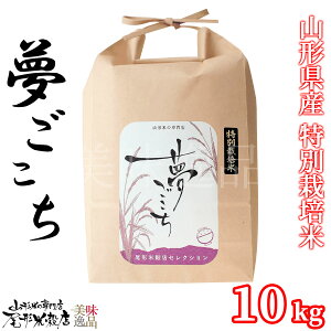 ߘa7NY R`Y   10kg ʍ͔|Ċ󏭕i ߂ Sn        Y  v[g 蕨 Mtg  Ε j l