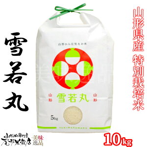 ߘa7NY R`Y   5kg 10kg ʍ͔|Ă䂫킩܂       嗱 Y  v[g 蕨 Mtg  Ε j l bZ[WJ[h