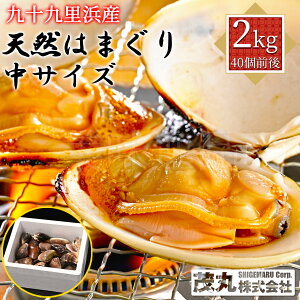 \㗢lY VR͂܂ TCY 2kgi40Ojt ςݍY tY  n}O 傫 ͂܂ L o[xL[ BBQ CN   z  ԏĂ 