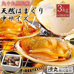 \㗢lY VR͂܂ TCY 3kgi60Ojt ςݍY tY  n}O 傫 ͂܂ L o[xL[ BBQ CN   z  ԏĂ 