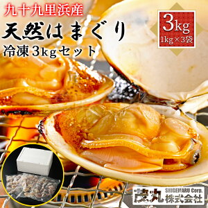 \㗢lY VR͂܂ Ⓚ 3kgZbgi1kg×3܁jt ς TCYCY tY  n}O 傫 L o[xL[ BBQ CN   z  ԏĂ 