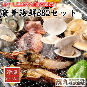 \㗢l̋tII؊CNBBQZbg Ⓚ 2`4lp ͂܂  ɐCV G] kCYz^eo[xL[Zbg Y  n}O 傫 L BBQ CN 킵 CV Ar ق 