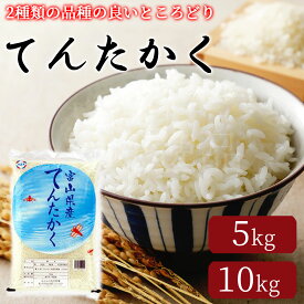 令和7年産 新米 富山県産米 てんたかく 5kg 10kg富山 ブランド米 令和7年 5キロ 10キロ 米 お米 白米 ごはん ハナエチゼン ひとめぼれ 産直 全国 配送 ギフト お取り寄せ グルメ 送料 無料 高岡食糧