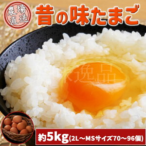 ̖̂܂ ppbNi5kg/2L`MSTCY70`96jʎq { ɂƂ {{  |  Â   aH mH َq   Y Yn Sz