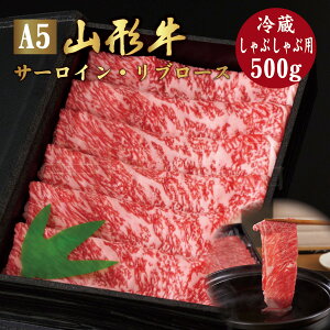 R` A5N Ԃԗp 500g T[C u[X ①ōN ō A5  a  XCX ~ Y    uh  Mtg a v[g 