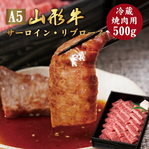 R` A5N ēp 500g T[C u[X ①ōN ō A5  a Ă XCX ~ Y    uh  Mtg a v[g 