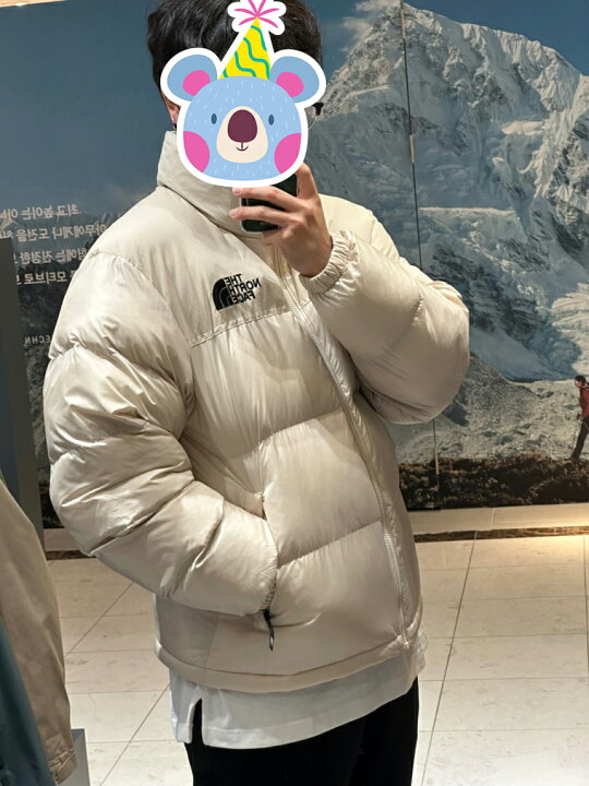 楽天市場】THE NORTH FACE NUPTSE ON BALL JACKET ザノースフェイス  