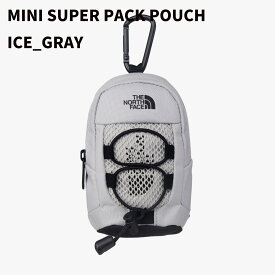 ★最大40%OFFクーポン配布中★ノースフェイス ポーチ MINI BIG SHOT POUCH ポーチ ブランド 小物入れ 小さい ノースフェイス 韓国 韓国ノースフェイス