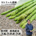 さぬきのめざめ 春芽 アスパラ セミロング 30cm前後 選べる M/L以上/訳ありA 500g/1kg 香川県産 クール便 朝採れ当日…