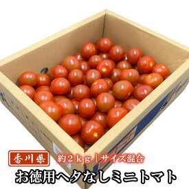 お徳用ヘタなしミニトマト 約2kg 香川県産