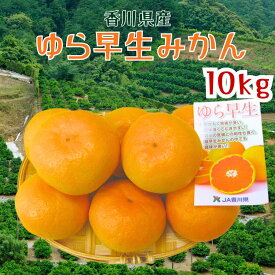 【10月中旬発送開始】香川県産 ゆら早生みかん 10kg 極早生 高糖度 希少品種 産地直送 常温発送 三豊市 観音寺市 瀬戸内 まとめ買い