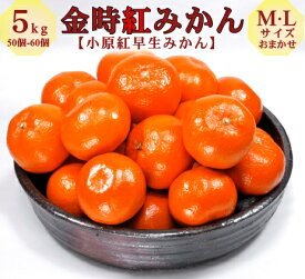 【香川県産】金時紅みかん 約5kg (M・L) 日本一紅い 小原紅早生 糖度11.5度以上 光センサー選別 香川オリジナル品種 濃厚な甘みとコク 贈答用 ギフト対応 産地直送 常温配送