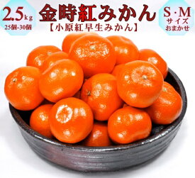 【香川県産】金時紅みかん 約2.5kg (S・M) 日本一紅い 小原紅早生 糖度11.5度以上 光センサー選別 香川オリジナル品種 濃厚な甘みとコク 贈答用 ギフト対応 産地直送 常温配送