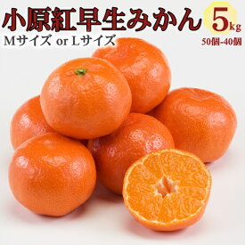 【香川県産】小原紅みかん 約5kg (M・L) 日本一紅い 小原紅早生 糖度10.5度以上 光センサー選別 香川オリジナル品種 しっかりとした甘み 家庭用 贈答用 ギフト対応 産地直送 常温配送
