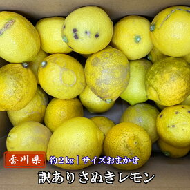 訳ありさぬきレモン 約2kgサイズおまかせ 国産（香川県産）