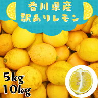 【訳あり】香川県産 さぬきレモン 国産レモン 5kg 10kg 無ワックス サイズおまかせ 家庭用 果汁用 料理用…
