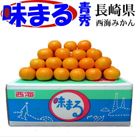【訳あり】長崎県産 味まるみかん 青秀 2S 5kg（約70~80個）超小玉 糖度12度以上保証 光センサー選別 させぼ温州 西海みかん JAながさき西海 家庭用 産地直送 11月中旬～12月中旬発送
