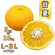香川県産 甘夏 5kg・10kg｜果汁たっぷり！甘みと酸味の絶妙バランス 柑橘 フルーツ 常温便