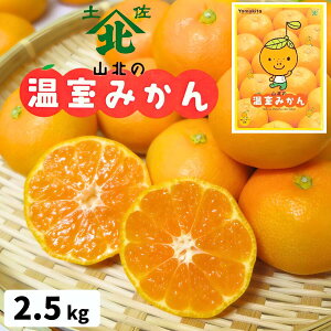 ハウスみかん」の人気商品一覧・価格比較 - 価格.com