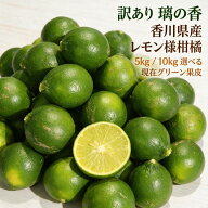 訳あり レモン 様柑橘 璃の香 香川県産 選べる 5kg/10kg 国産カンキツ リスボンレモン×日向夏由来 果汁…