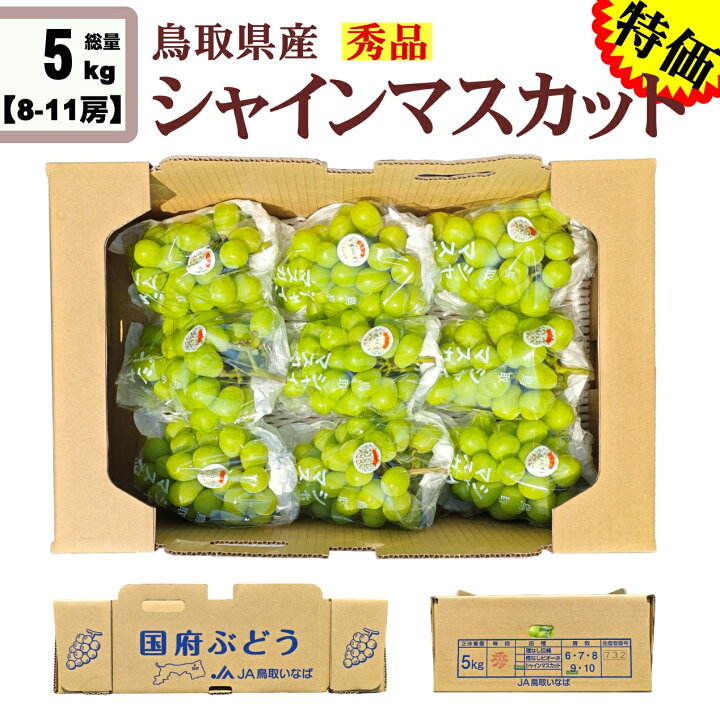 楽天市場】シャインマスカット 秀品 5kg クール便 送料無料 鳥取 