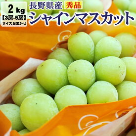 長野県産シャインマスカット 秀品 2kg 3房 ~ 5房 種なし 長野県産 サイズおまかせ 送料無料 | フルーツ ギフト 贈答用 家庭用 シャイン マスカット 贈り物 ギフト プレゼント 種なしぶどう 果物 くだもの 果実 青果 ブドウ 葡萄 おやつ デザート お歳暮