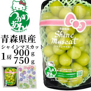 つがりあんシャインマスカット 5Lサイズ 約900g 特大 化粧箱入り ぶどう 葡萄 種なし 皮ごと 高級 フルーツ ギフト 贈答用 お歳暮 御歳暮 プレゼント 果物 贈り物