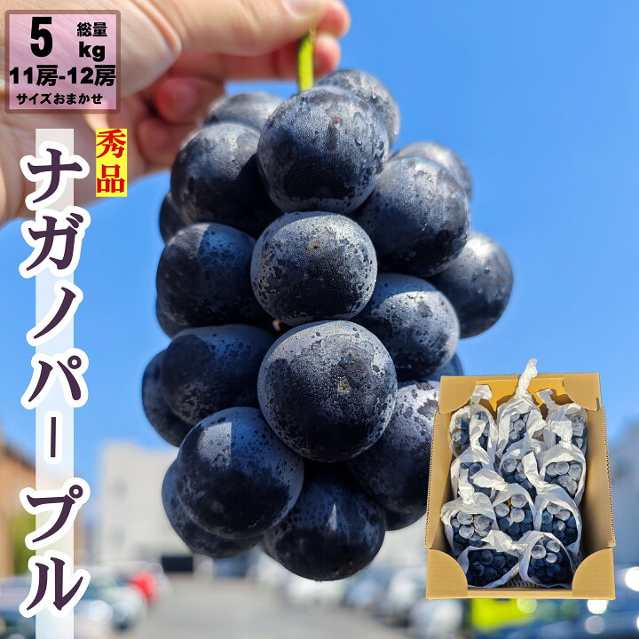 楽天市場】ナガノパープル 5kg 11房 ~ 12房 種なし 高級黒ぶどう 長野 