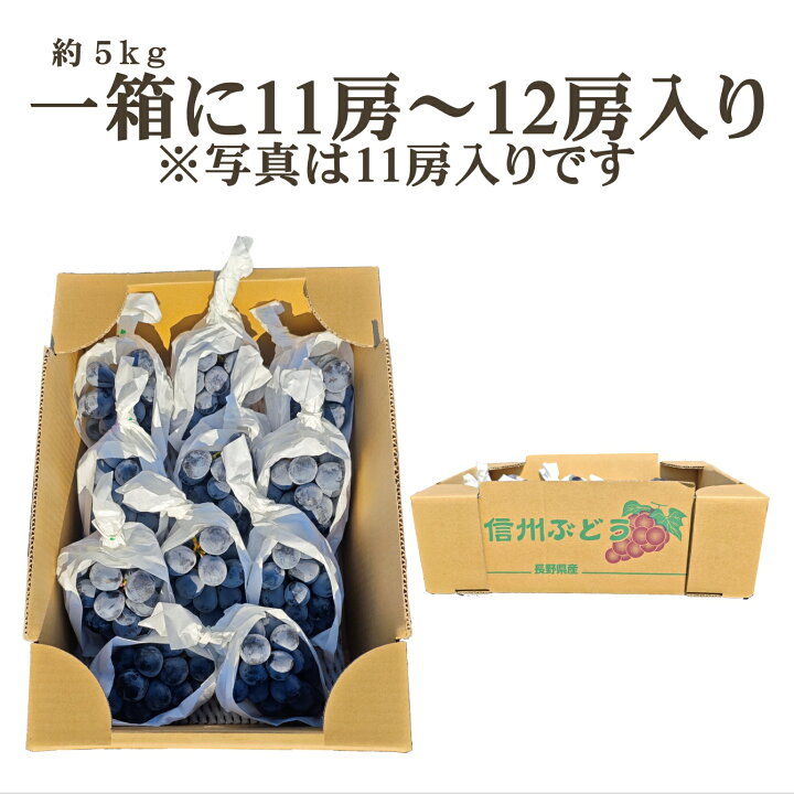 楽天市場】ナガノパープル 5kg 11房 ~ 12房 種なし 高級黒ぶどう 長野 