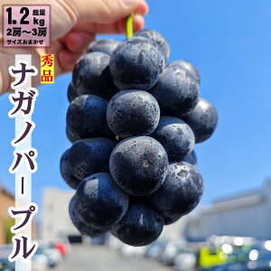 iKmp[v 1.2kg 2[ ~ 3[ Ȃ Ԃǂ 쌧Y TCY܂ N[  | t[c Mtg p ƒp iKm p[v Â 蕨 Mtg v[g {̖o 