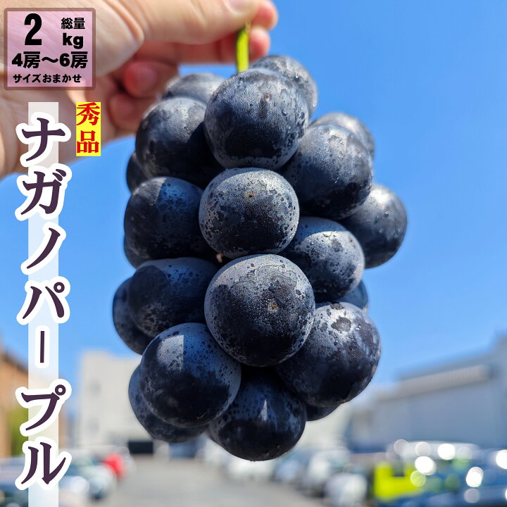 楽天市場】ナガノパープル 2kg 4房 ~ 6房 種なし 高級黒ぶどう 長野県  
