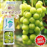 【予約9月下旬】瀬戸ジャイアンツ 2kg 鳥取県産 種なし皮ごと食べられる 桃太郎ぶどう 送料無料