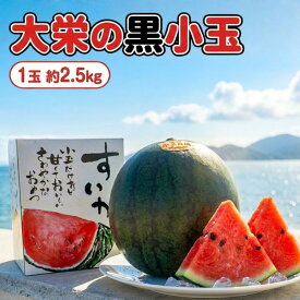 すいか 送料無料 鳥取県産 大栄黒小玉スイカ 秀品 1玉 約2.5kg 化粧箱入 小玉すいか 黒皮小玉すいか 西瓜 スイカ 大栄すいか ギフト 贈答 残暑見舞い 予約 8月末より順次発送