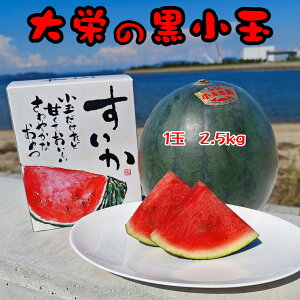 h̍ʂ Gi 1 2.5kg ϔ 挧Y  h Z XCJ  