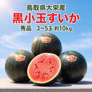 ���i�摜