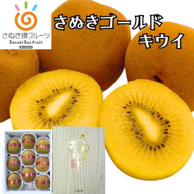 【送料無料】香川県産 さぬきゴールドキウイ「黄様」3L-2L 9-10玉入り 糖度14.5度以上保証 世界最大級の超大玉キウイ メロンのような食感 化粧箱入り ギフト対応