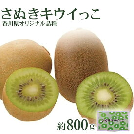 さぬきキウイっこ 800g オリジナルBOX 約15玉~ 30玉 香川県産