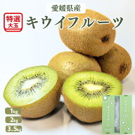 【国産】キウイ ヘイワード 愛媛県産 大玉 3L/4L 1kg/2kg/3.5kg 送料無料 常温 2月頃〜順次発送
