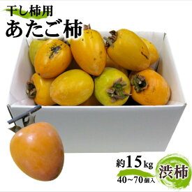 【送料無料】あたご柿 愛宕柿 干し柿用 訳あり 香川県産/徳島県産 約15kg(40~70個)または約4.5kg(13~22個)選べる3サイズ 枝付き 吊るし柿 渋柿 完全渋柿 産地直送 11月中旬~12月中旬