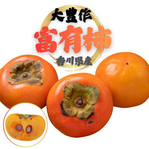 y󂠂z쌧Y xL` 2kg 5kg 7.5kg  L KiO Ê` ˓C r^~C ݂2{ ` 󂠂 ƒp Hp ` W Ⓚۑ