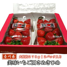 美味いちご園 さぬきひめ 大粒約270g×2パック 香川県産